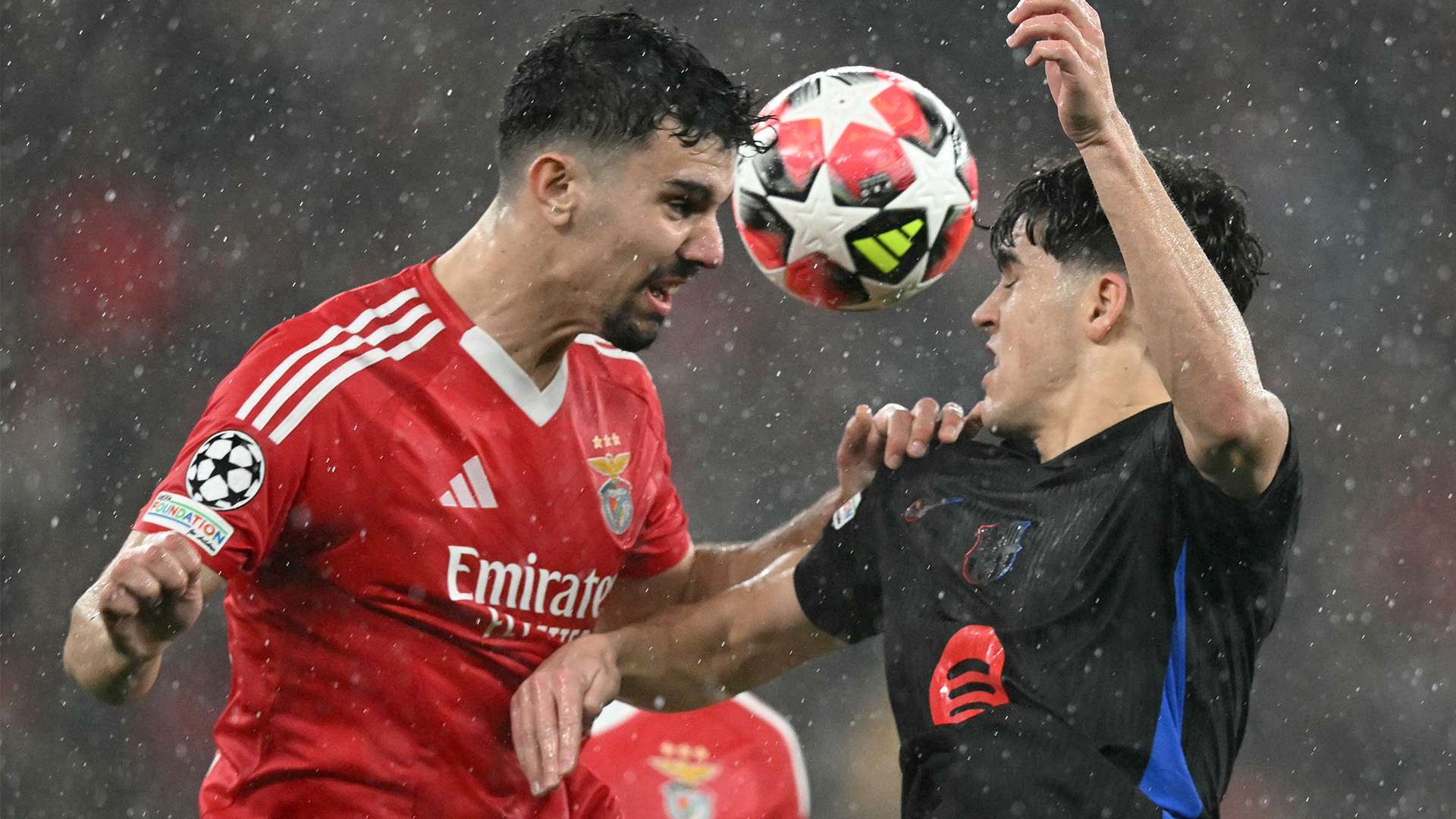 业生涯中所 业生涯中所