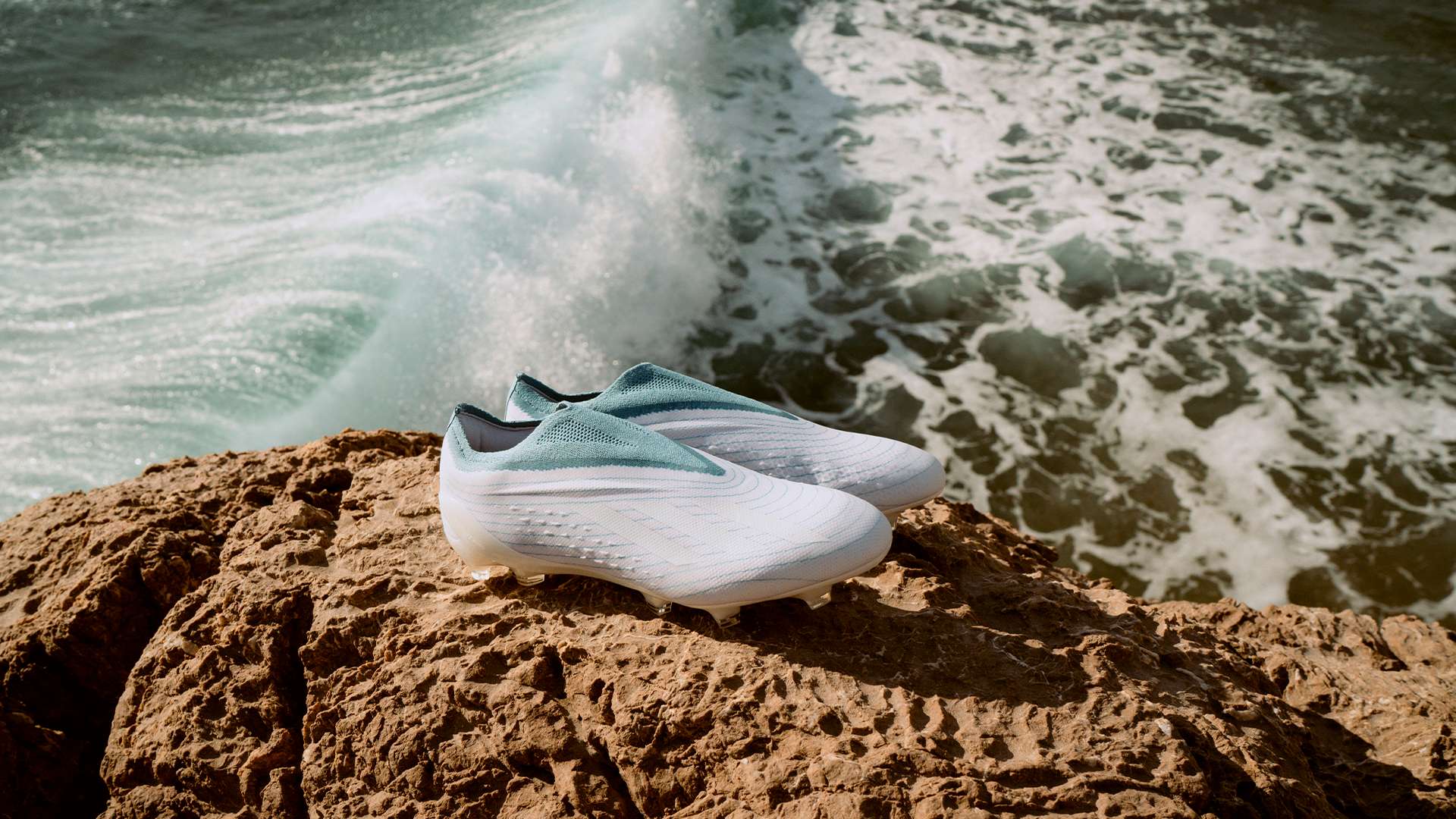 续约不仅展 续约不仅展