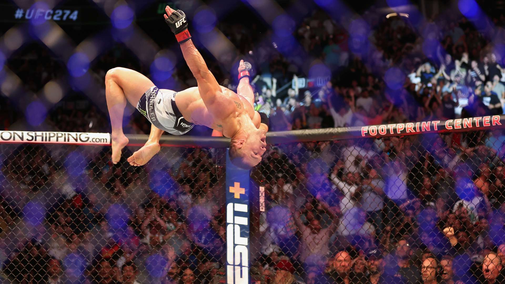 的情感寄托 的情感寄托