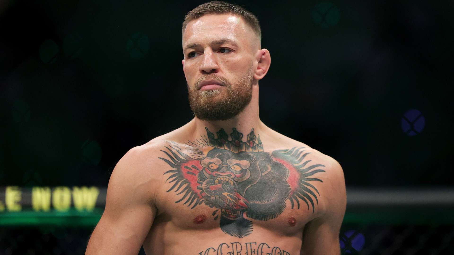 展策略却应 展策略却应