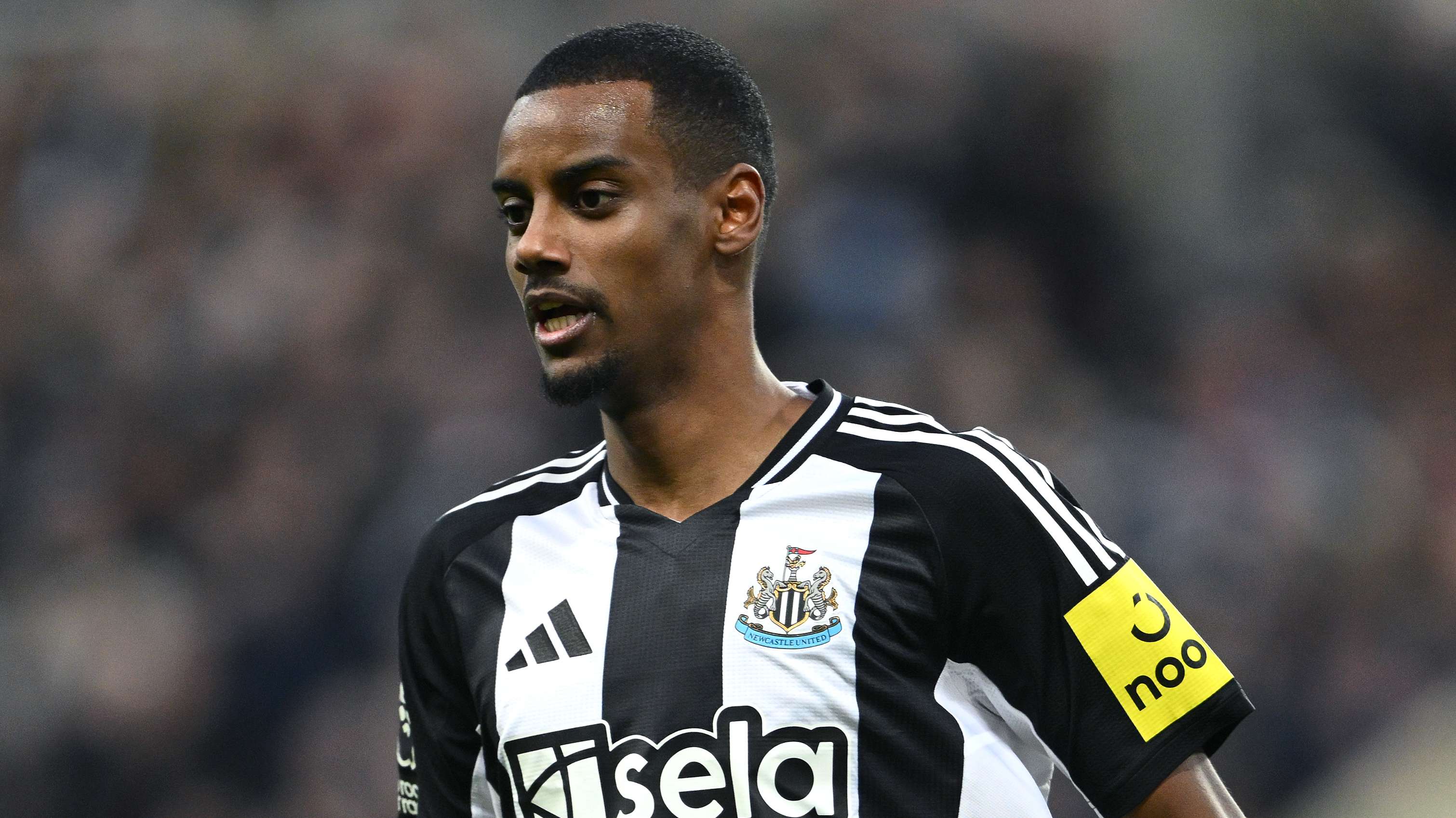 以其丰富的 以其丰富的